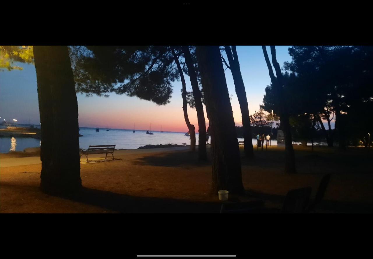 Apartman Sija Novigrad Novigrad Istria المظهر الخارجي الصورة